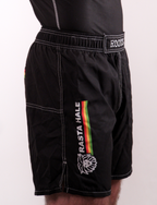 Roots - Fight Short