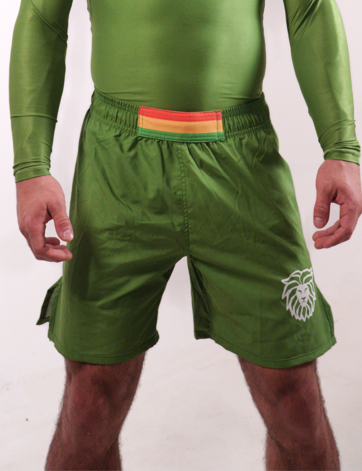 Roots Green - Fight Short