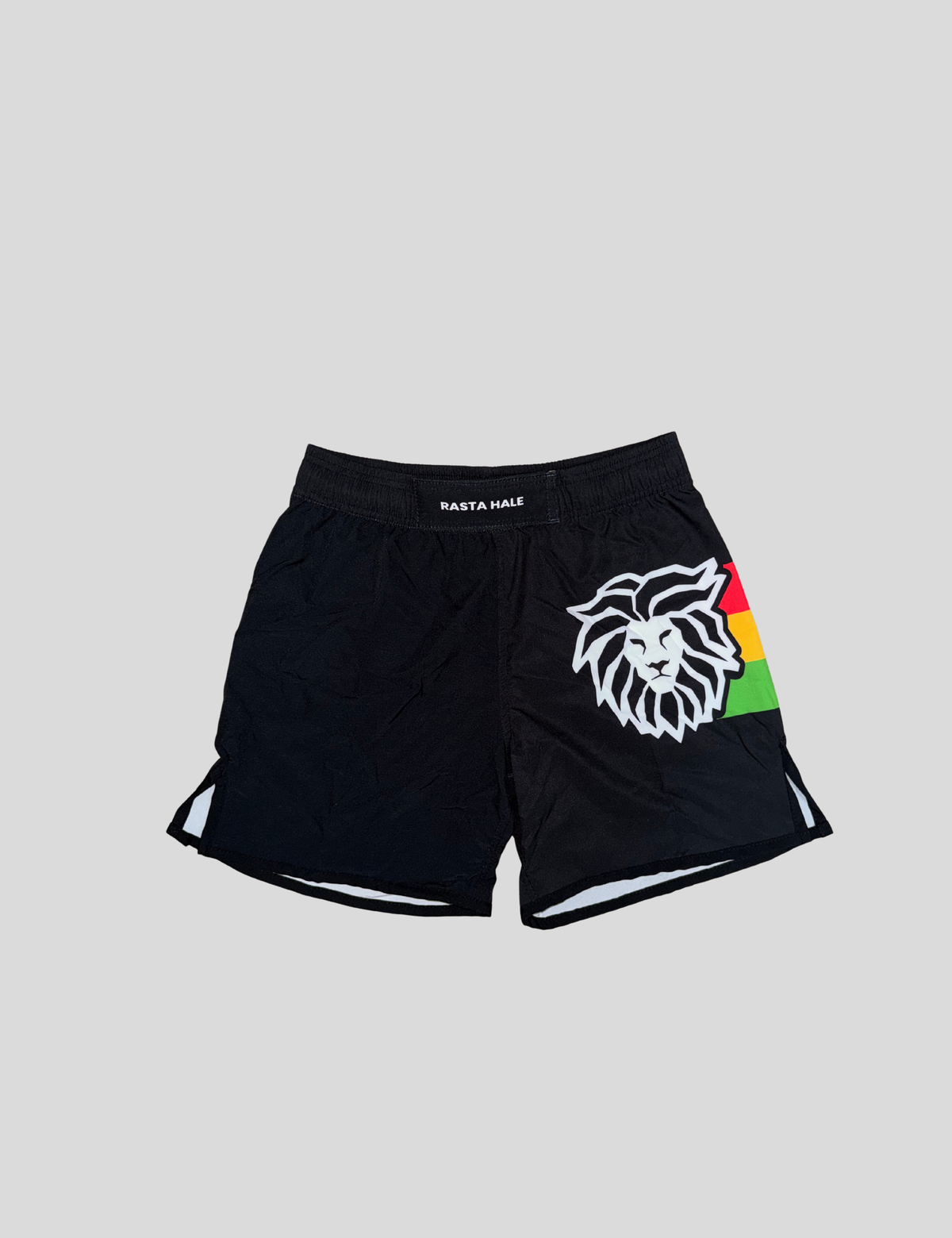 Classic - Fight Short