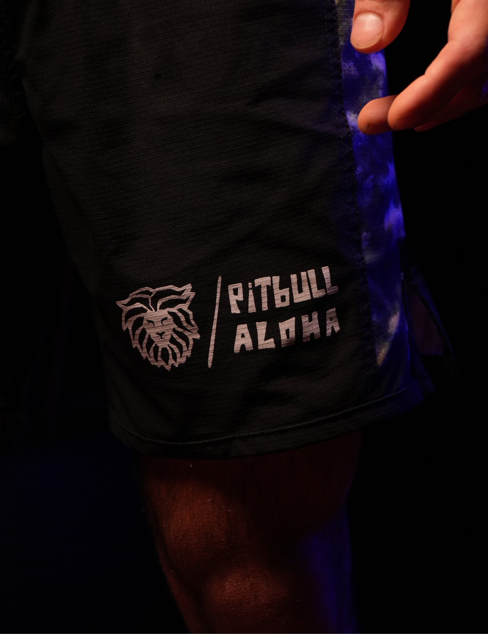 Pitbull Aloha - Basic 20% OFF