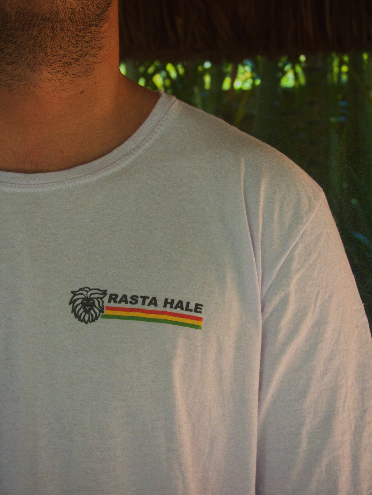 Camisetas